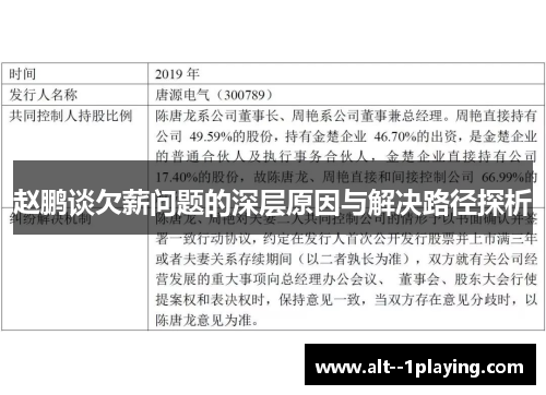 赵鹏谈欠薪问题的深层原因与解决路径探析 赵鹏谈欠薪问题的深层原因与解决路径探析