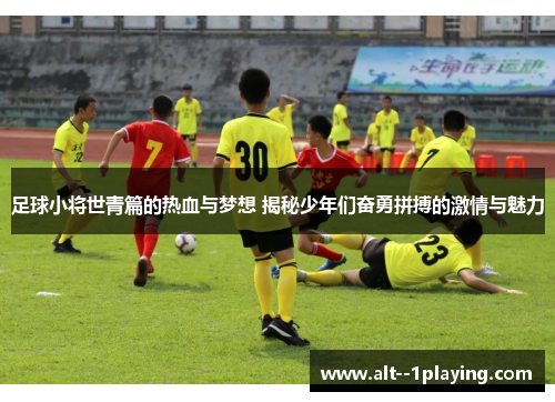 足球小将世青篇的热血与梦想 揭秘少年们奋勇拼搏的激情与魅力